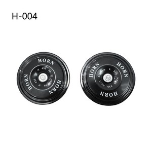 H-004