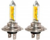 Night Light Four Season H7